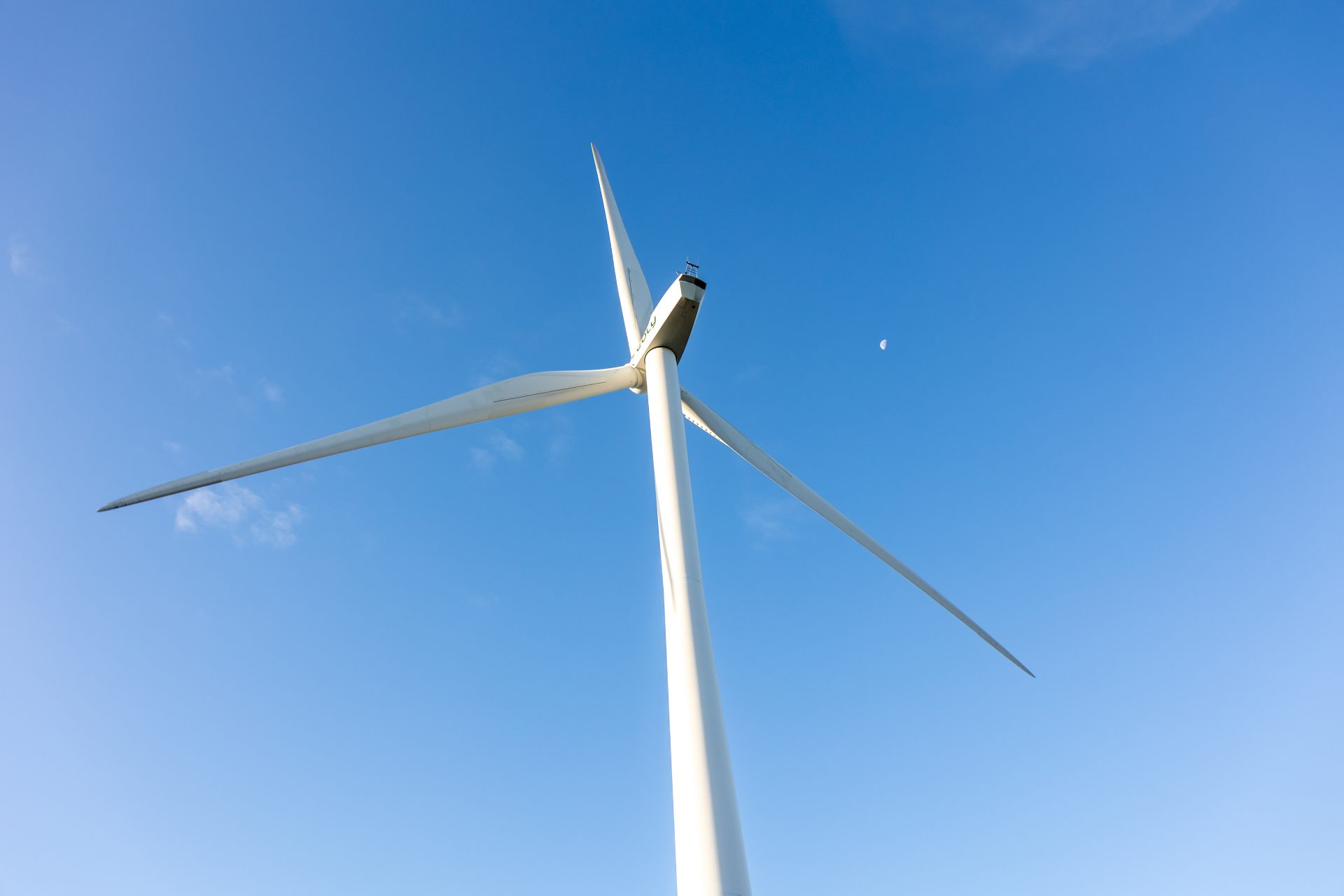 2024 10 23 Vyria Assets c Tof Studio Antoine BRODKOM @brod.kom 31