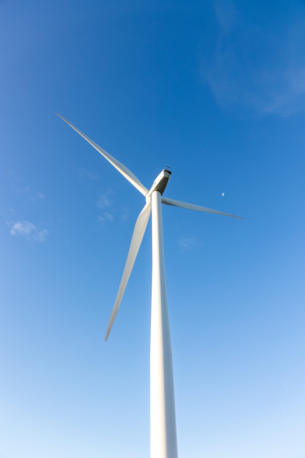 2024 10 23 Vyria Assets c Tof Studio Antoine BRODKOM @brod.kom 32