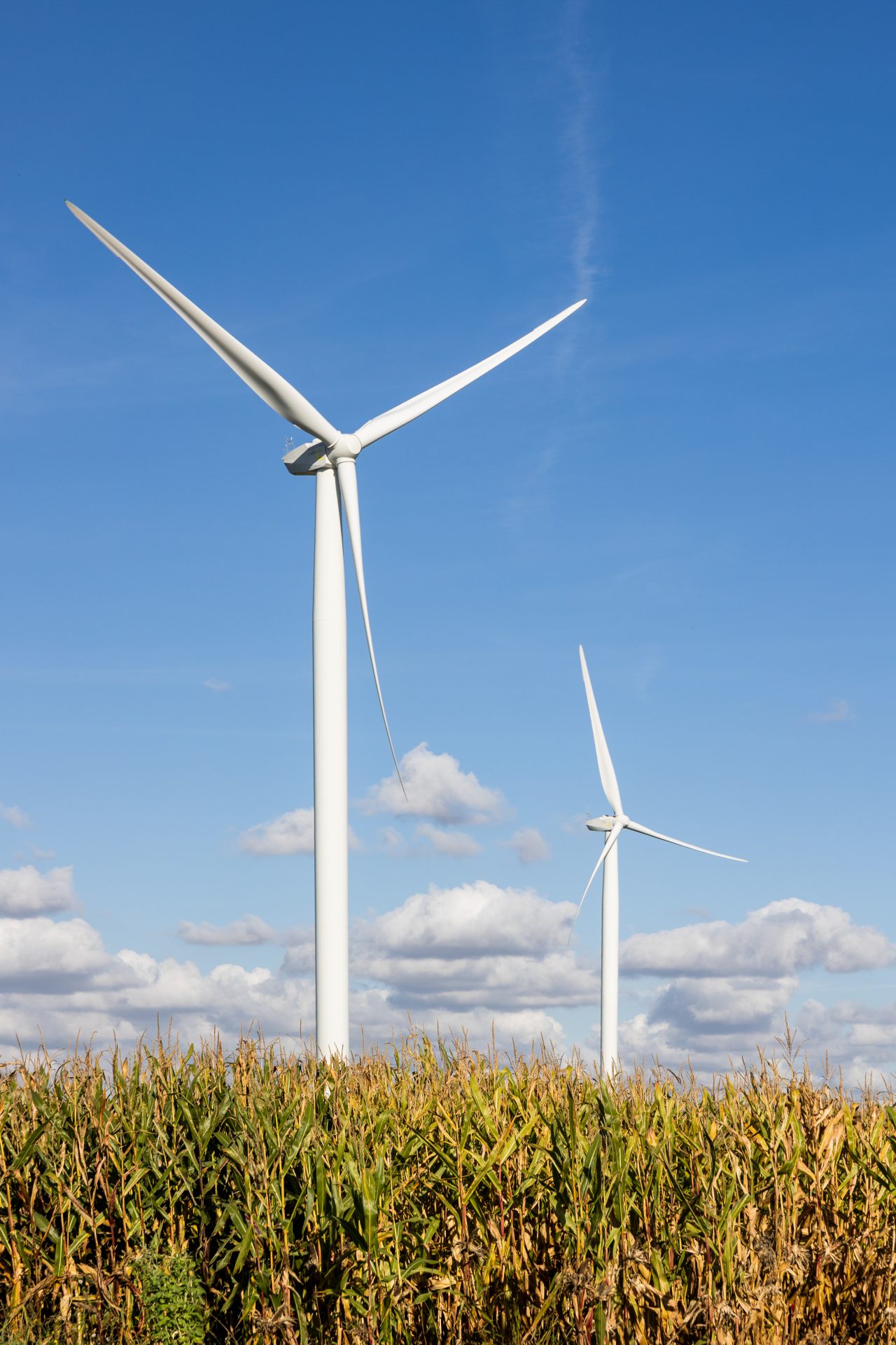 2024 10 23 Vyria Assets c Tof Studio Antoine BRODKOM @brod.kom 378