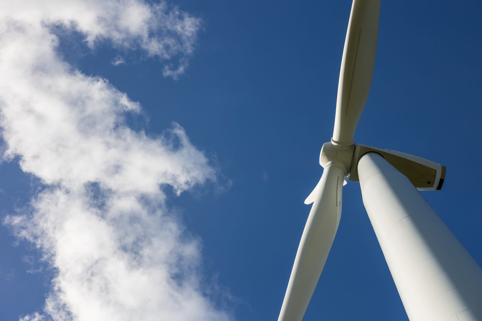 2024 10 23 Vyria Assets c Tof Studio Antoine BRODKOM @brod.kom 383