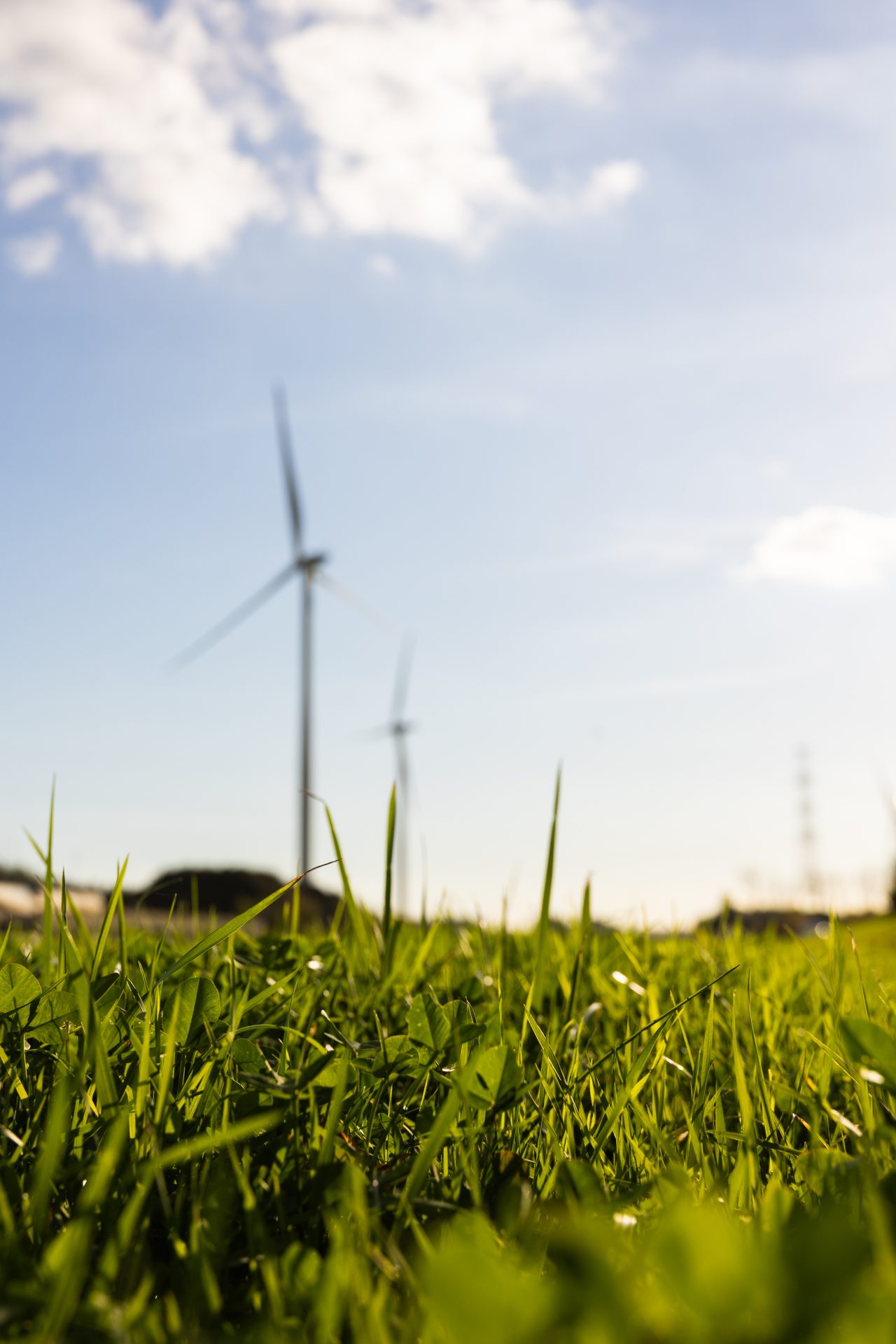 2024 10 23 Vyria Assets c Tof Studio Antoine BRODKOM @brod.kom 413