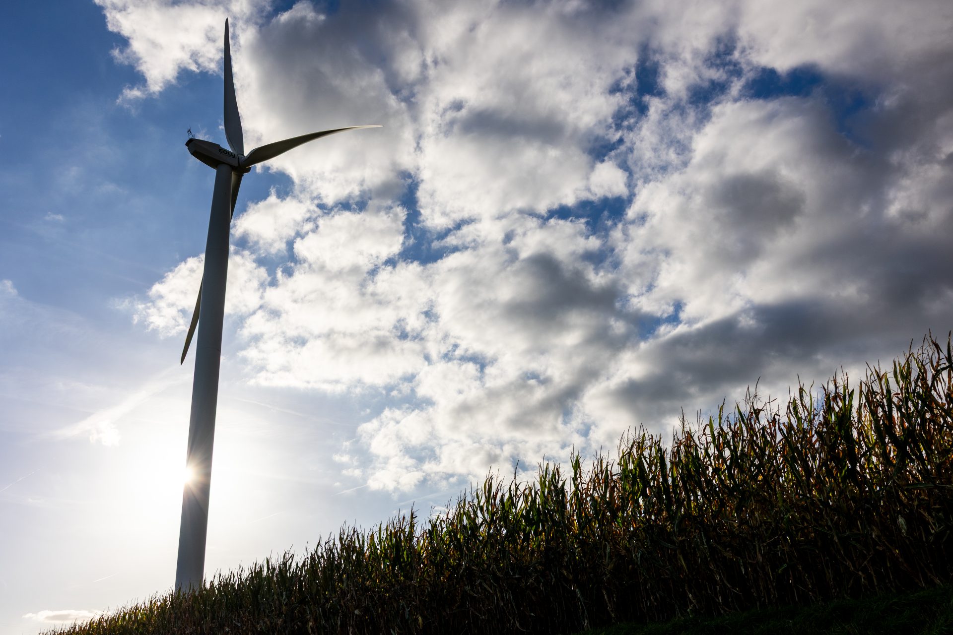 2024 10 23 Vyria Assets c Tof Studio Antoine BRODKOM @brod.kom 416