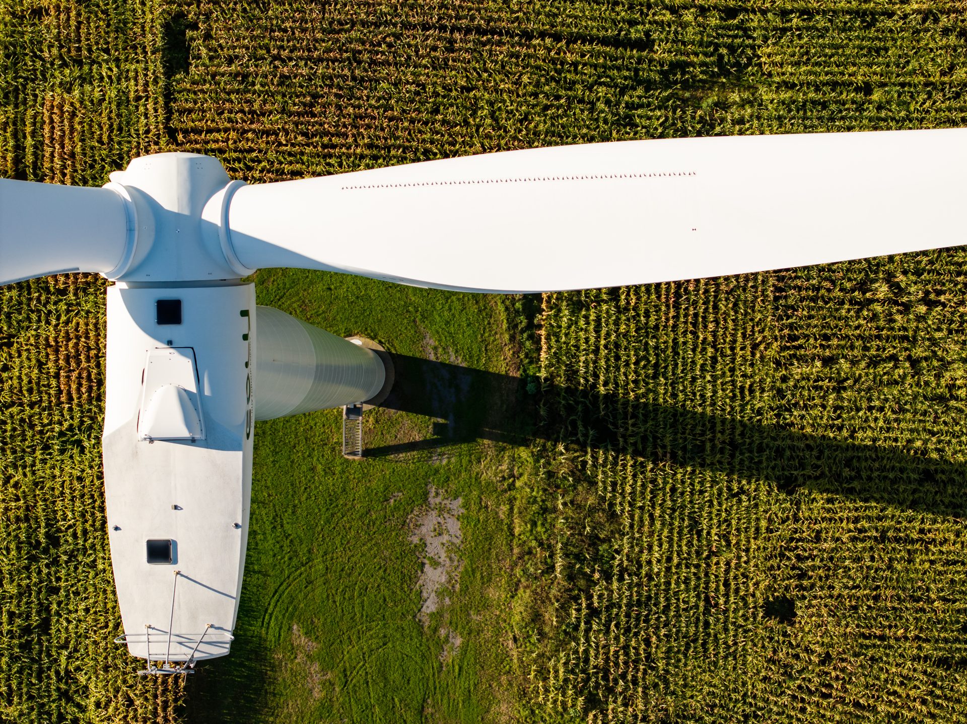 2024 10 23 Vyria Drone c Tof Studio Antoine BRODKOM @brod.kom 44