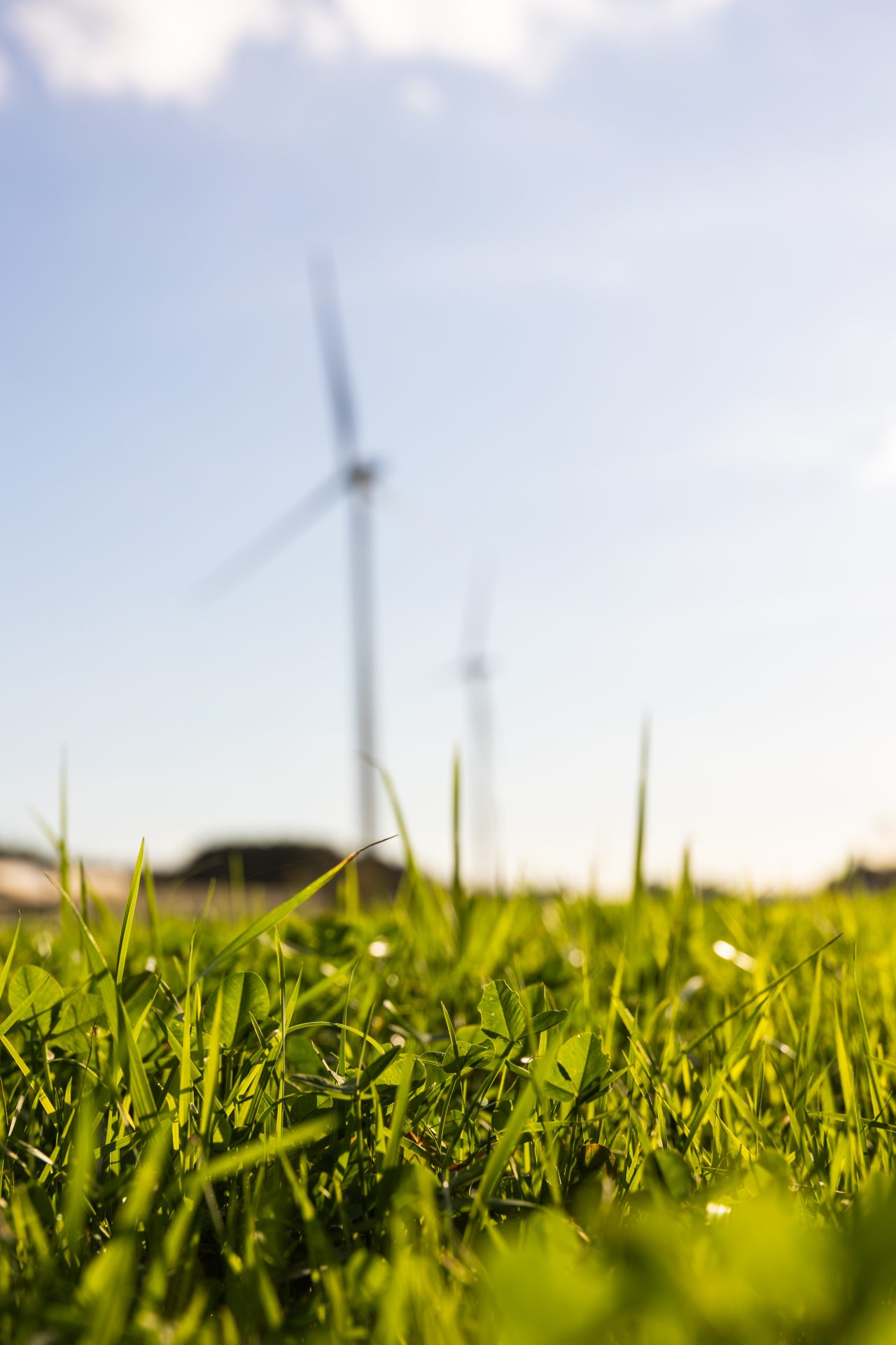 2024 10 23 Vyria Assets c Tof Studio Antoine BRODKOM @brod.kom 412